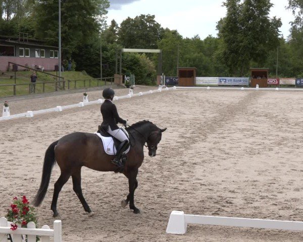 Reitturnier Erkrath - Uhlenhof 2025