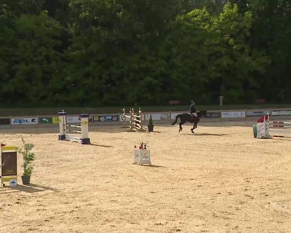 Reitturnier Tiefenhof/Opf. 2025