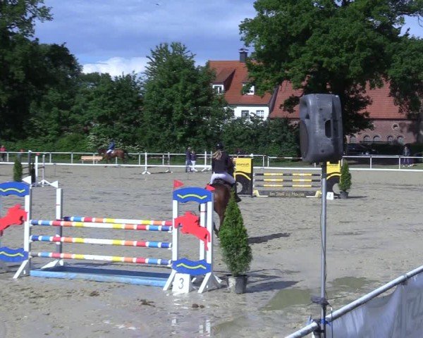 Reitturnier Ostenfelde-Vornholz 2025