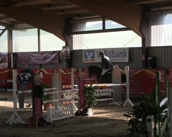 Hallenreitturnier Lindlar-Süttenbach 2014
