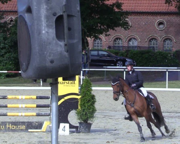 Reitturnier Ostenfelde-Vornholz 2025