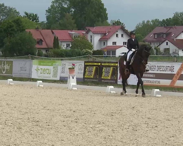 Reitturnier Notzing/Obb. 2025