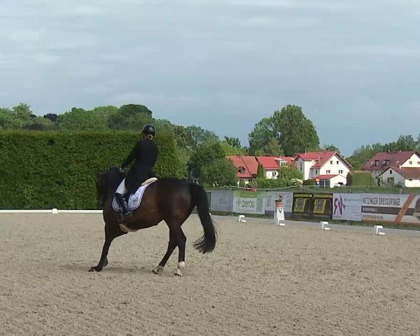 Reitturnier Notzing/Obb. 2025