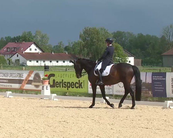 Reitturnier Notzing/Obb. 2025