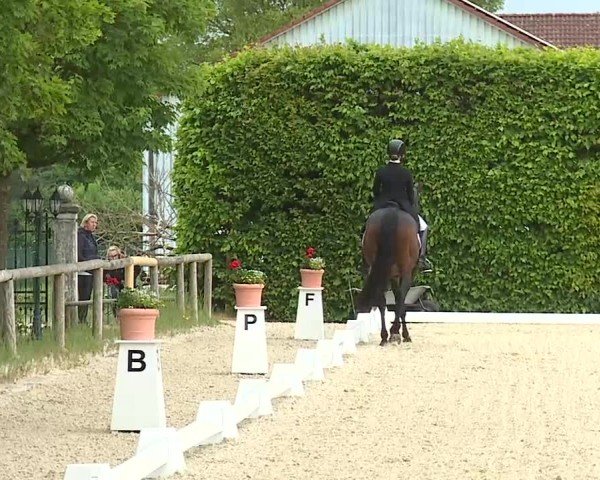 Reitturnier Notzing/Obb. 2025