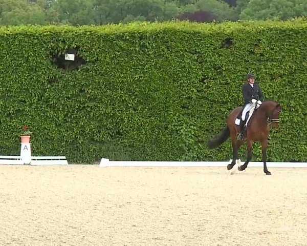 Reitturnier Notzing/Obb. 2025