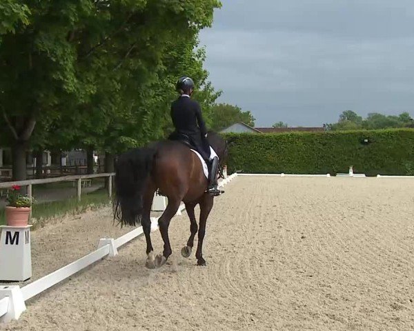 Reitturnier Notzing/Obb. 2025
