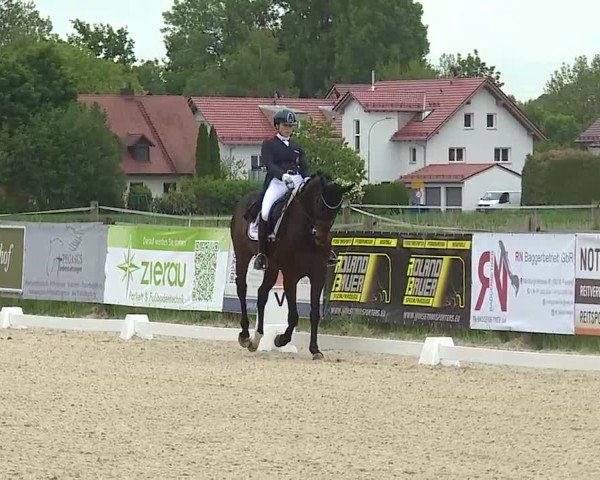 Reitturnier Notzing/Obb. 2025