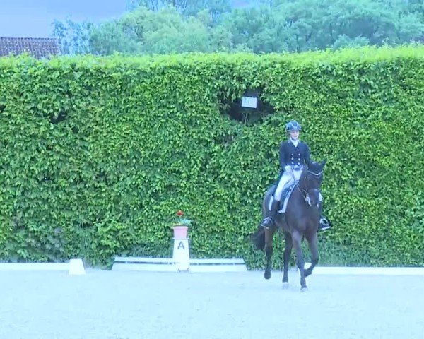 Reitturnier Notzing/Obb. 2025