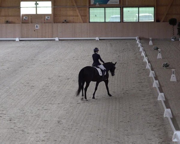 Reitturnier Aadorf 2025