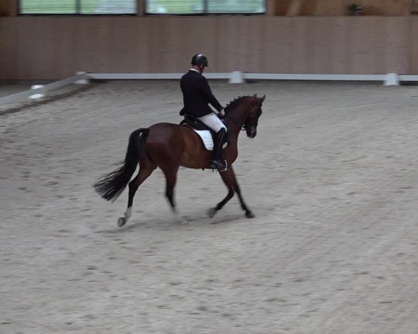 Reitturnier Aadorf 2025