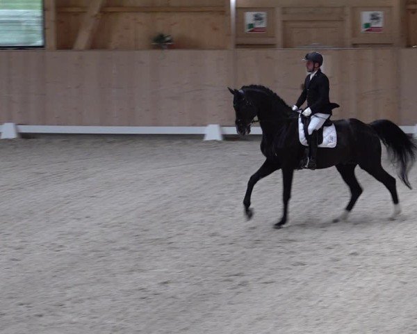 Reitturnier Aadorf 2025