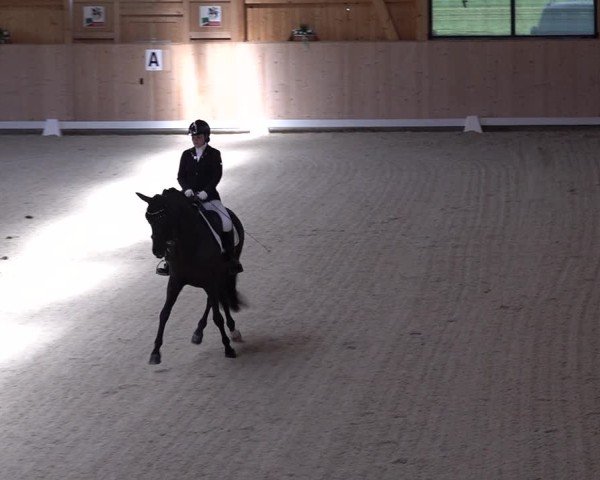 Reitturnier Aadorf 2025