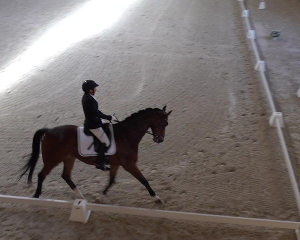 Reitturnier Aadorf 2025