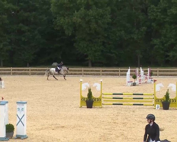Reitturnier Tiefenhof/Opf. 2025