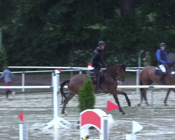 Reitturnier Ostenfelde-Vornholz 2025