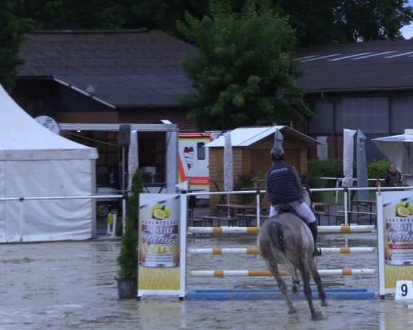 Reitturnier Ostenfelde-Vornholz 2025