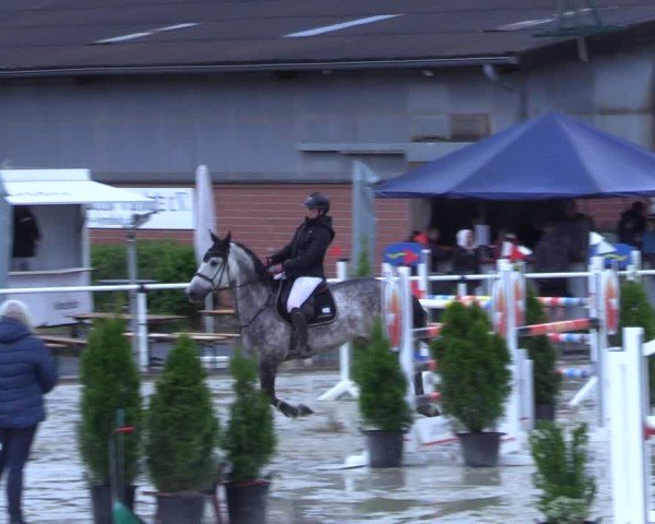 Reitturnier Ostenfelde-Vornholz 2025