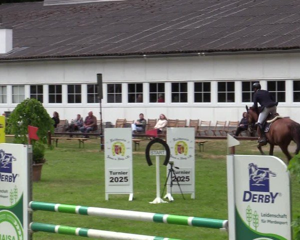 Reitturnier Zeven 2025