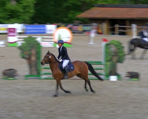 Reitturnier Alvern 2025
