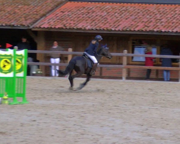 Reitturnier Alvern 2025