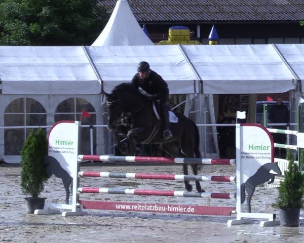 Reitturnier Ostenfelde-Vornholz 2025