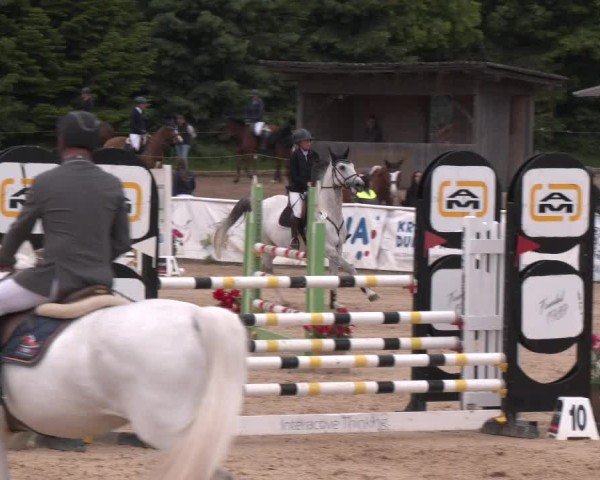 Reitturnier Ranshofen - Braunau am Inn 2025