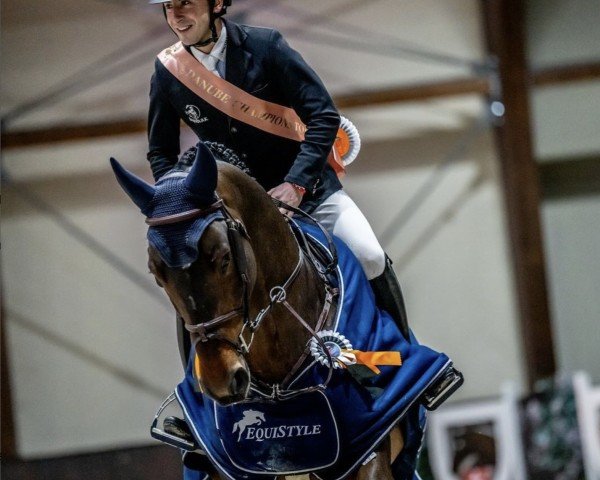 jumper Camirez (Westphalian, 2019, from Cornet Obolensky)
