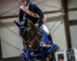 jumper Camirez (Westphalian, 2019, from Cornet Obolensky)
