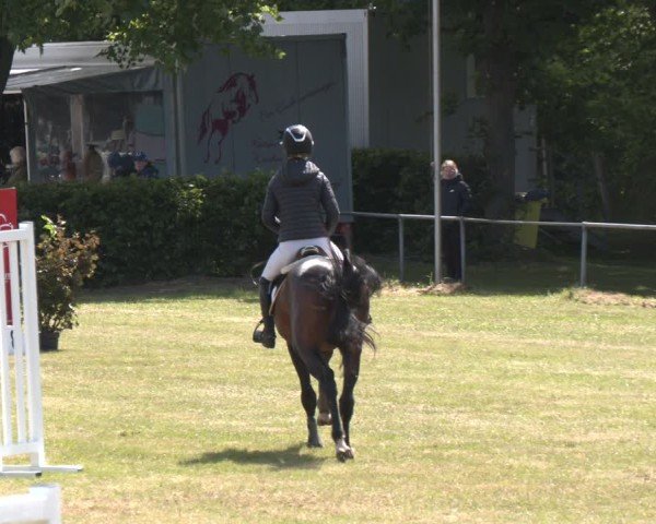 Reitturnier Stadthagen 2025