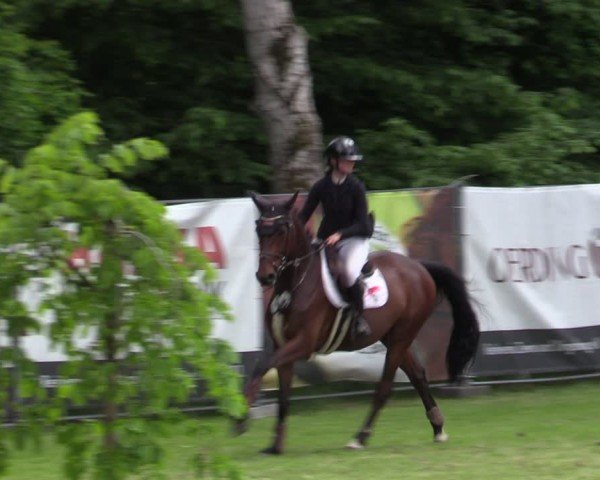Reitturnier Zeven 2025