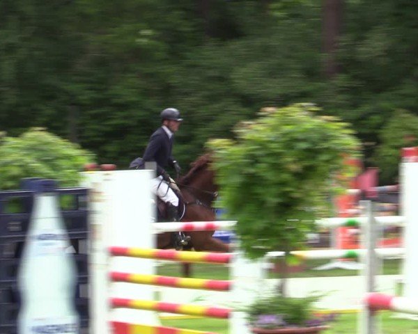 Reitturnier Zeven 2025