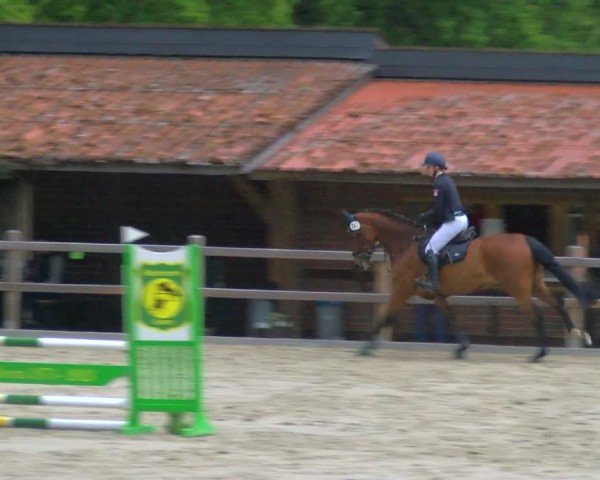 Reitturnier Alvern 2025