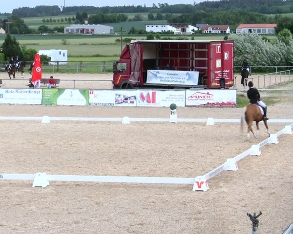 Reitturnier Mallersdorf-Pfaffenberg/Ndb. 2025