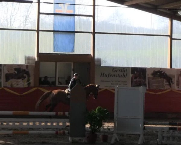 Hallenreitturnier Lindlar-Süttenbach 2014