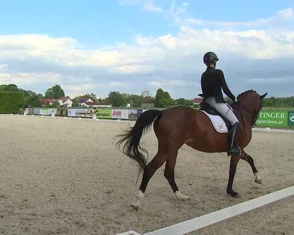 Reitturnier Notzing/Obb. 2025