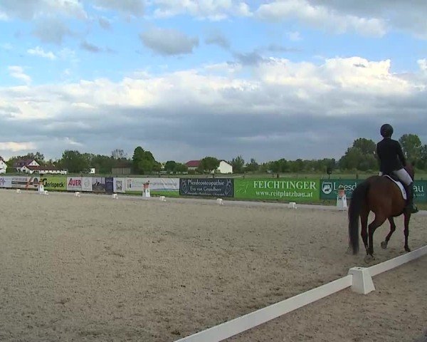 Reitturnier Notzing/Obb. 2025