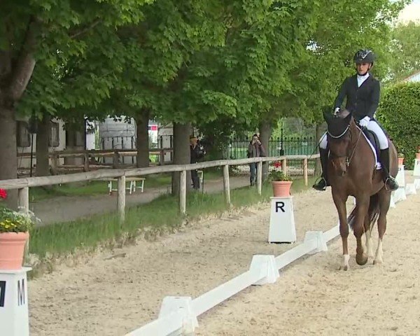 Reitturnier Notzing/Obb. 2025