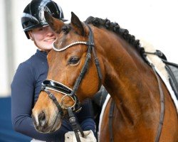 dressage horse Petite Polly (German Riding Pony, 2017, from Primera Vez)
