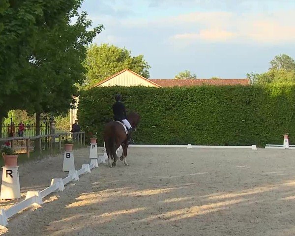 Reitturnier Notzing/Obb. 2025