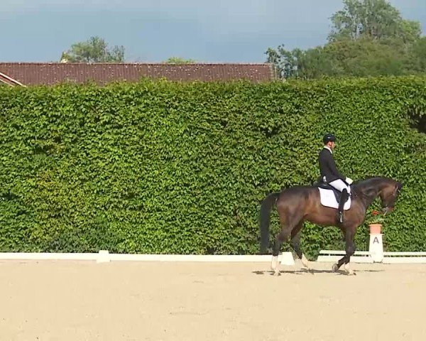 Reitturnier Notzing/Obb. 2025