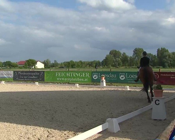 Reitturnier Notzing/Obb. 2025