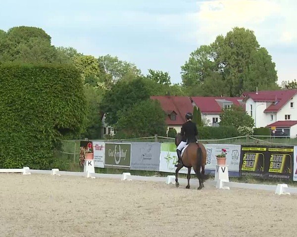 Reitturnier Notzing/Obb. 2025