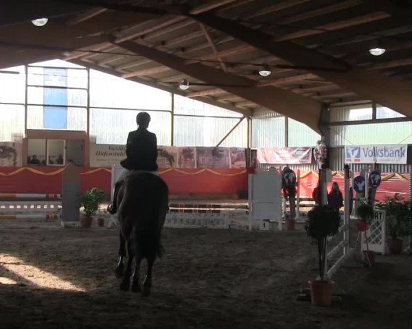 Hallenreitturnier Lindlar-Süttenbach 2014