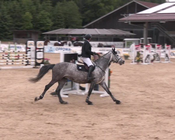 Reitturnier Ranshofen - Braunau am Inn 2025