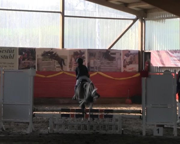 Hallenreitturnier Lindlar-Süttenbach 2014