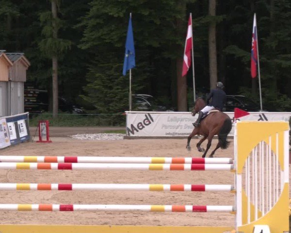 Reitturnier Ranshofen - Braunau am Inn 2025