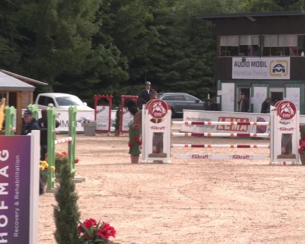 Reitturnier Ranshofen - Braunau am Inn 2025