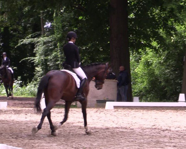 Reitturnier Königsborn 2025