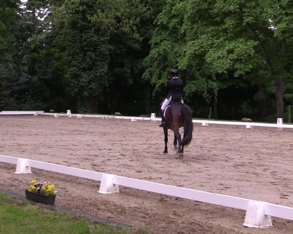 Reitturnier Königsborn 2025